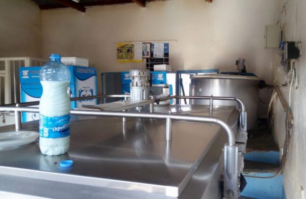 How to Start a Milk Value Addition Business