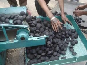Briquette making business- make Ksh 250,000 per month doing briquettes business from Ksh 20,000 capital
