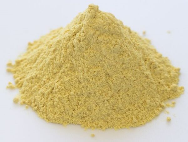 Mango Powder Business Plan