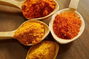 mango powder business plan