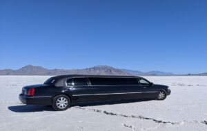 The best success strategy for limousine hire business plan