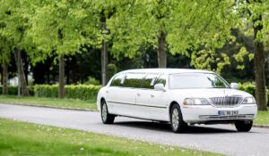 The best success strategy for limousine hire business plan