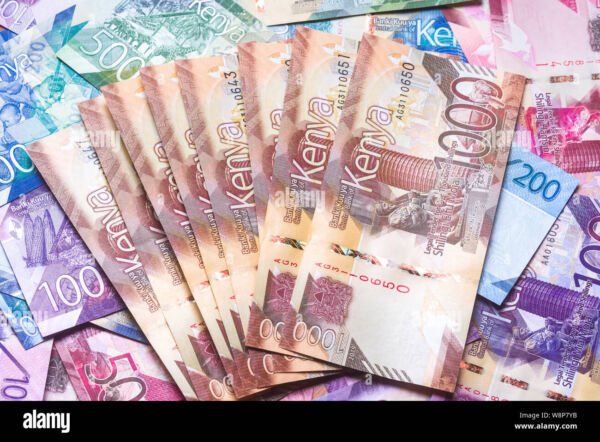 Profitable Business Ideas to start in Kenya with less than Ksh 40,000